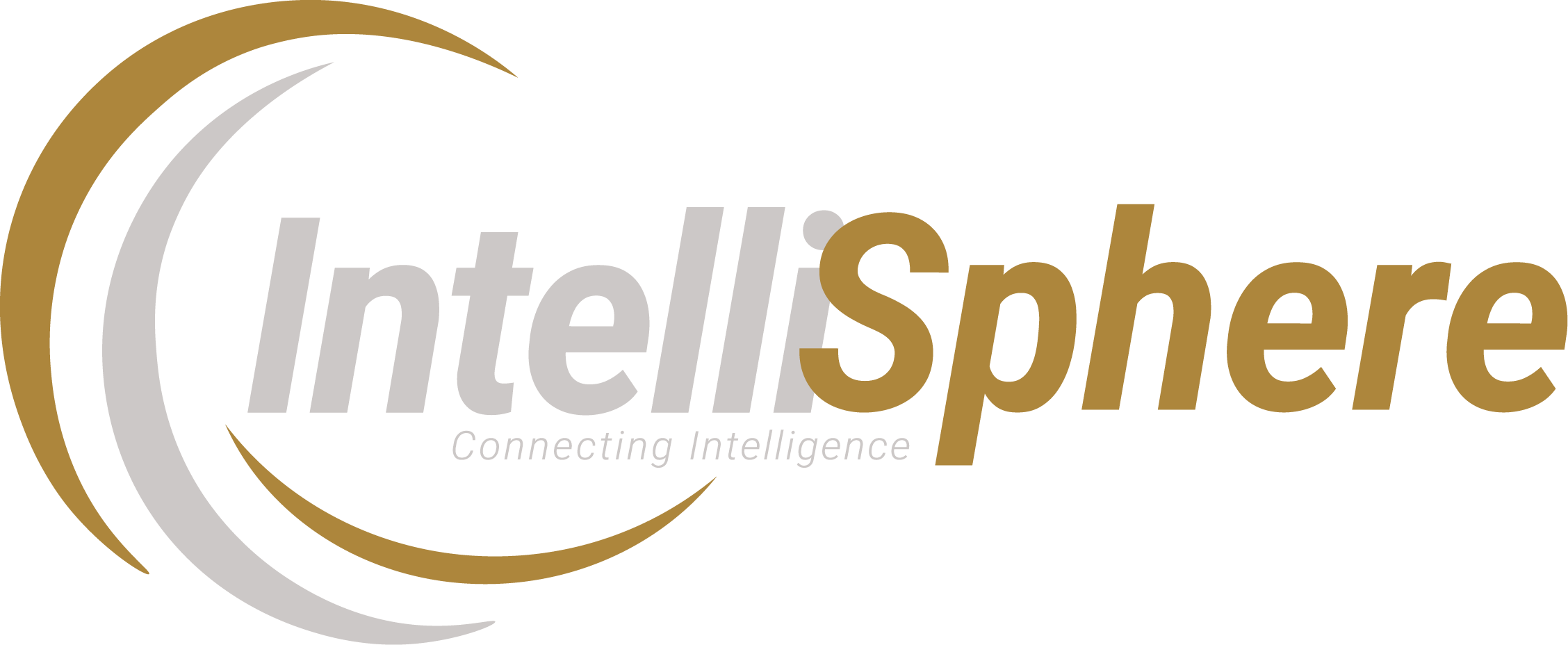 IntelliSphere Logo (Dark)